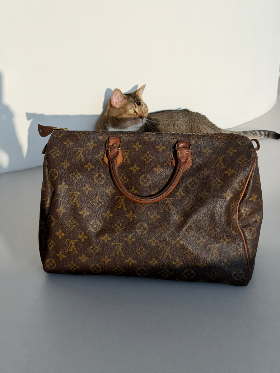RR ARCHIVE Louis Vuitton Speedy 35