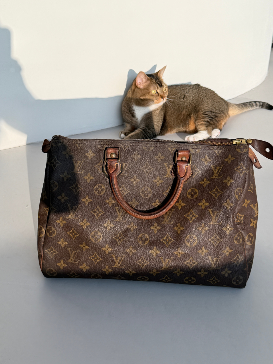 RR ARCHIVE Louis Vuitton Speedy 35
