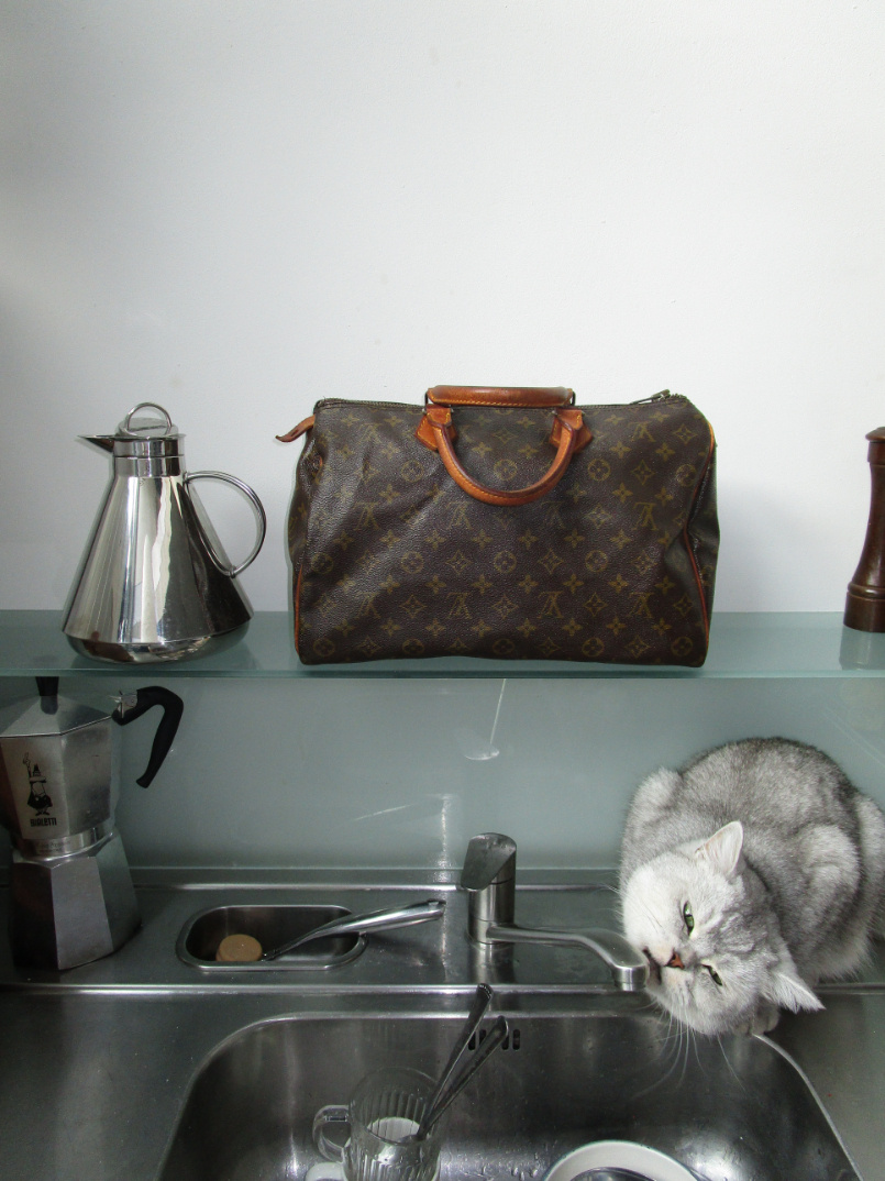 RR ARCHIVE Louis Vuitton Speedy 35