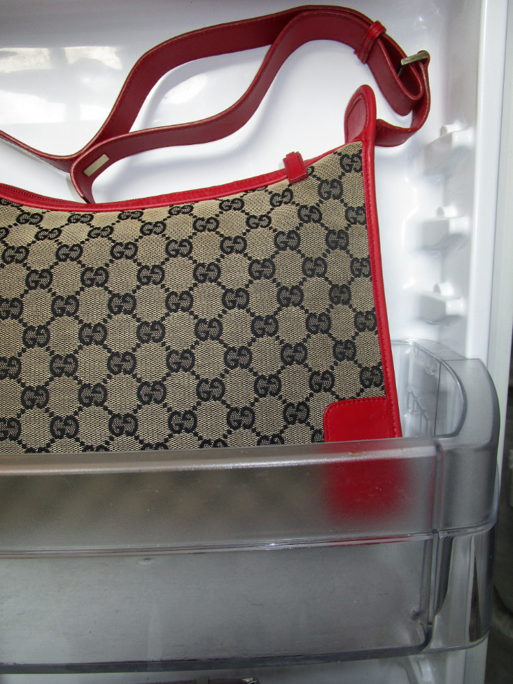 RR ARCHIVE Gucci GG Canvas Shoulder Bag