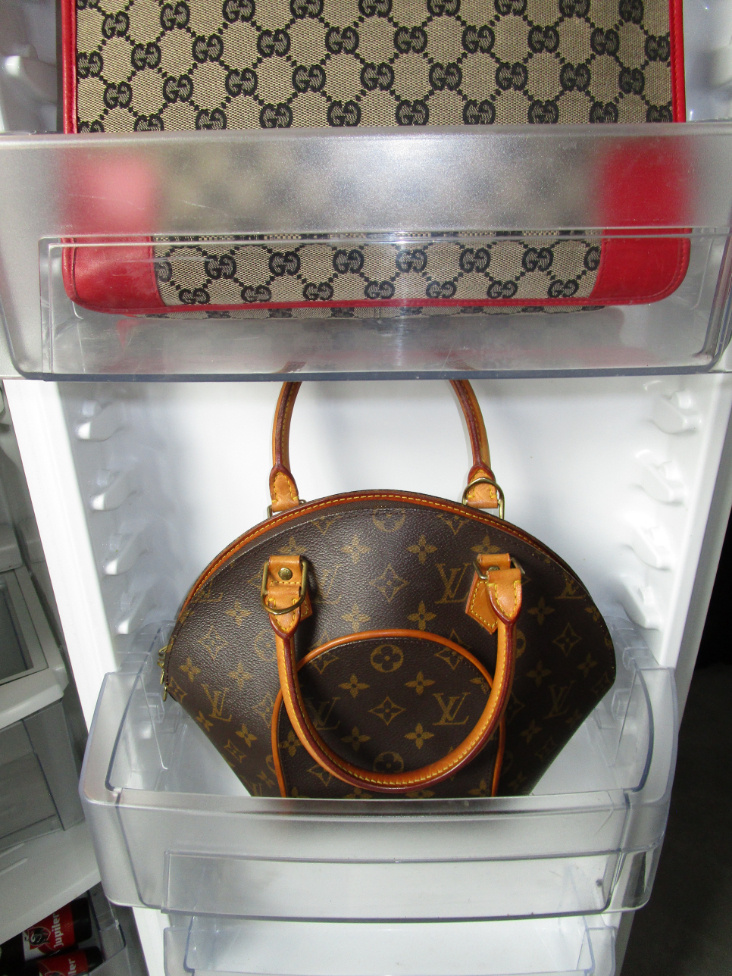 RR ARCHIVE Louis Vuitton Ellipse Bag