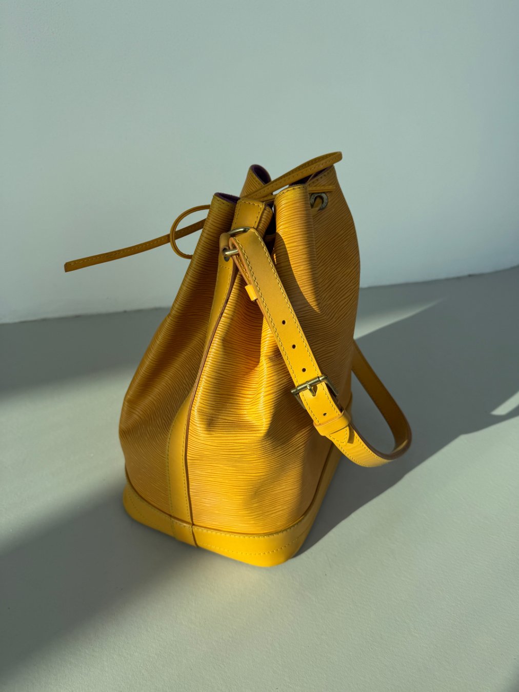 RR ARCHIVE Louis Vuitton Epi Noé Bag