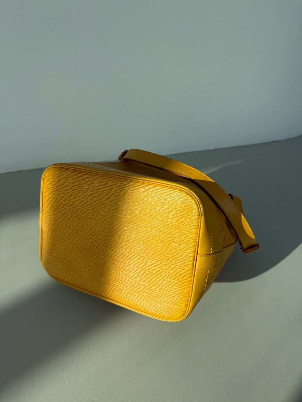 RR ARCHIVE Louis Vuitton Epi Noé Bag