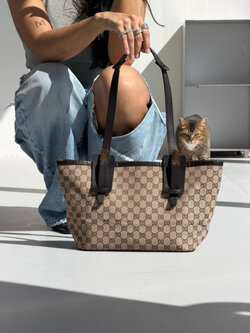 RR ARCHIVE Gucci GG Canvas & Leather Shoulder Bag