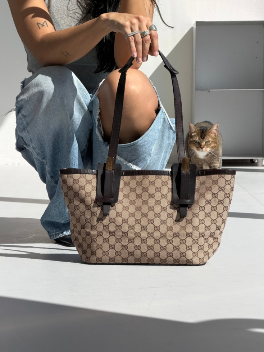 RR ARCHIVE Gucci GG Canvas & Leather Shoulder Bag