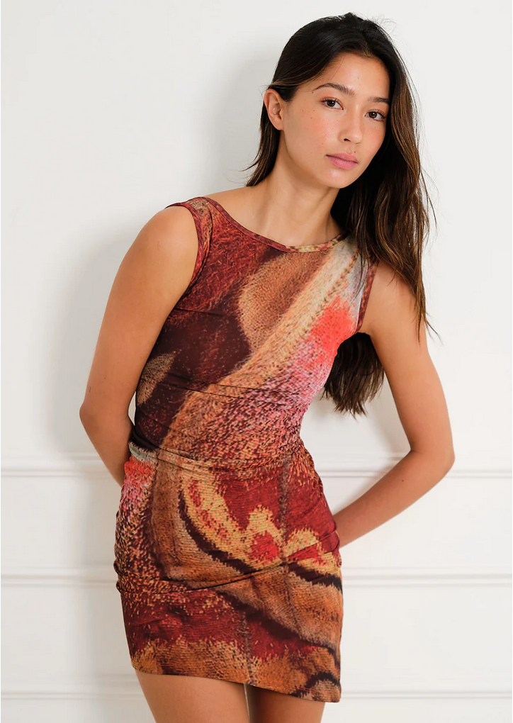 Feners Caracola Dress