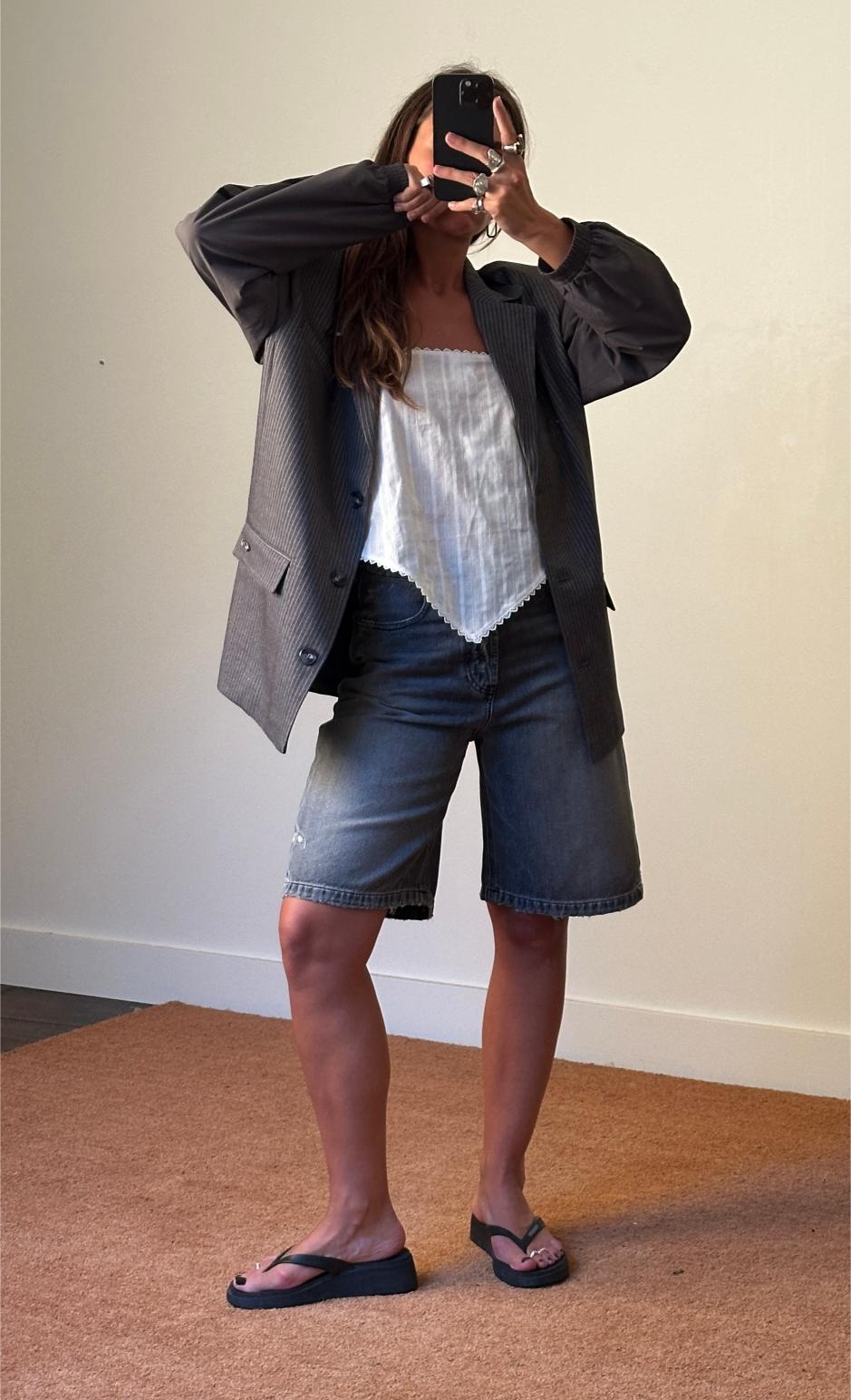 Résumé Milan Blazer