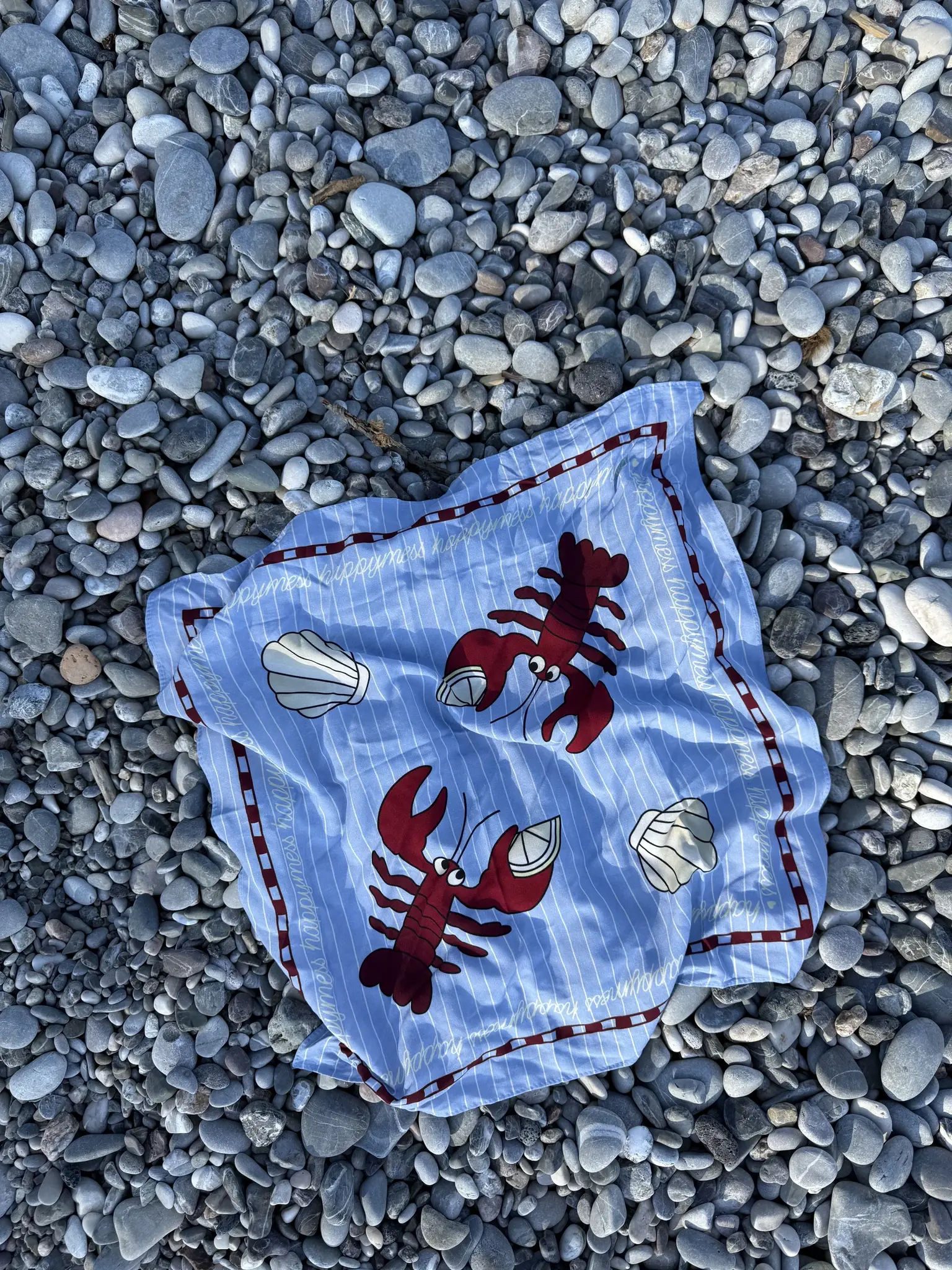 Happymess Mini Bandana Happy Lobster