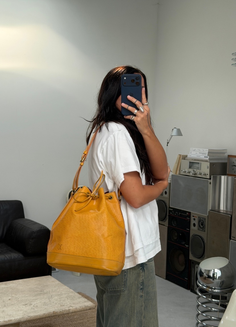 RR ARCHIVE Louis Vuitton Epi Noé