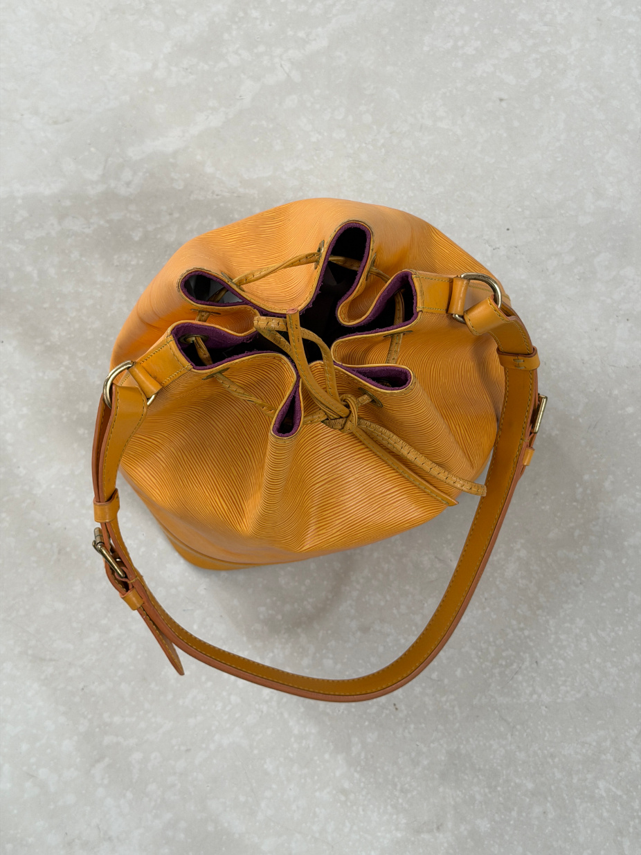 RR ARCHIVE Louis Vuitton Epi Noé