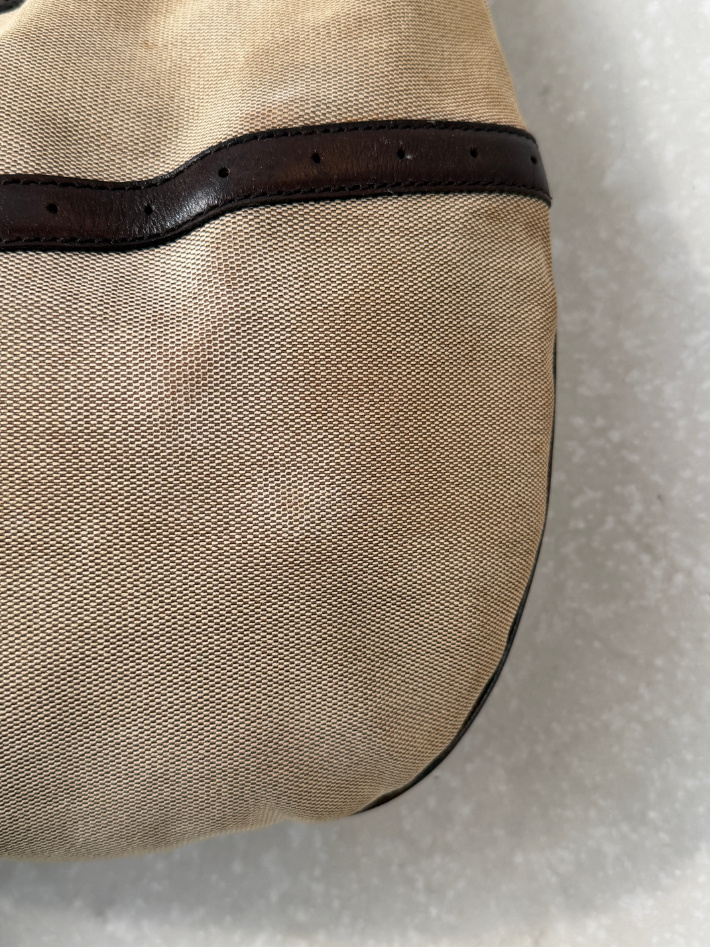 RR ARCHIVE Gucci GG Web Reins Hobo