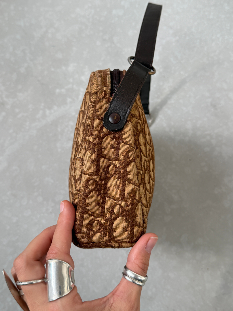 RR ARCHIVE Dior Monogram Trotter Handbag