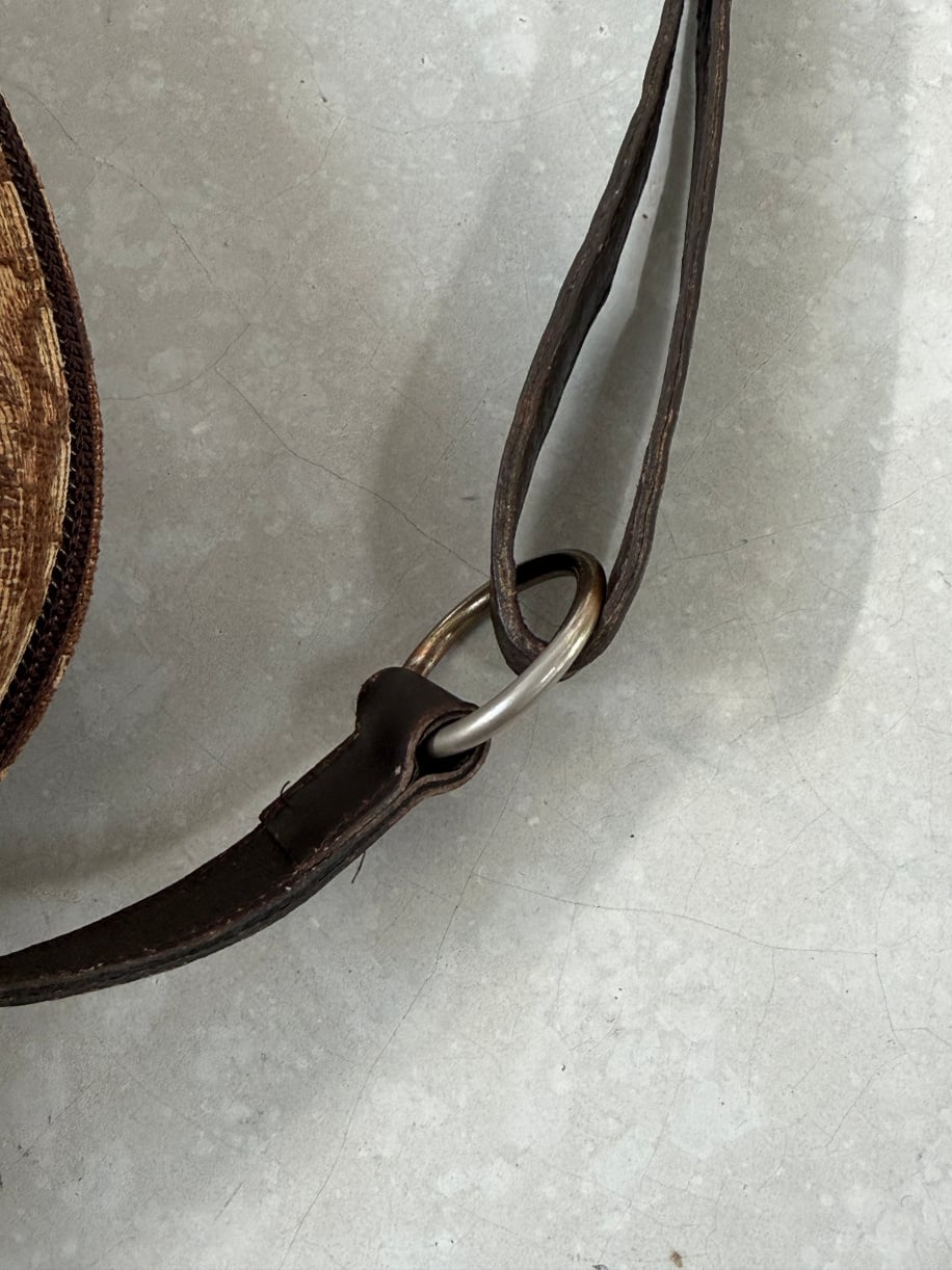 RR ARCHIVE Dior Monogram Trotter Handbag