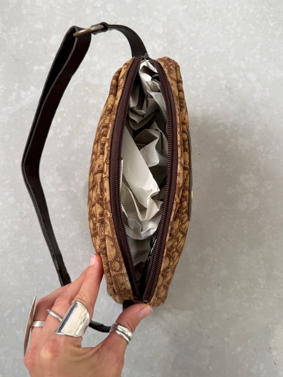 RR ARCHIVE Dior Monogram Trotter Handbag