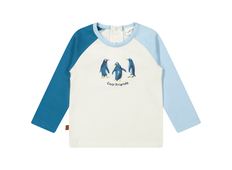 Shirt Raglan met Pinguïnprint - Multicolor - Polar Adventure
