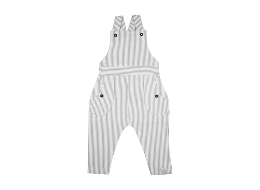 Dungaree Stripes