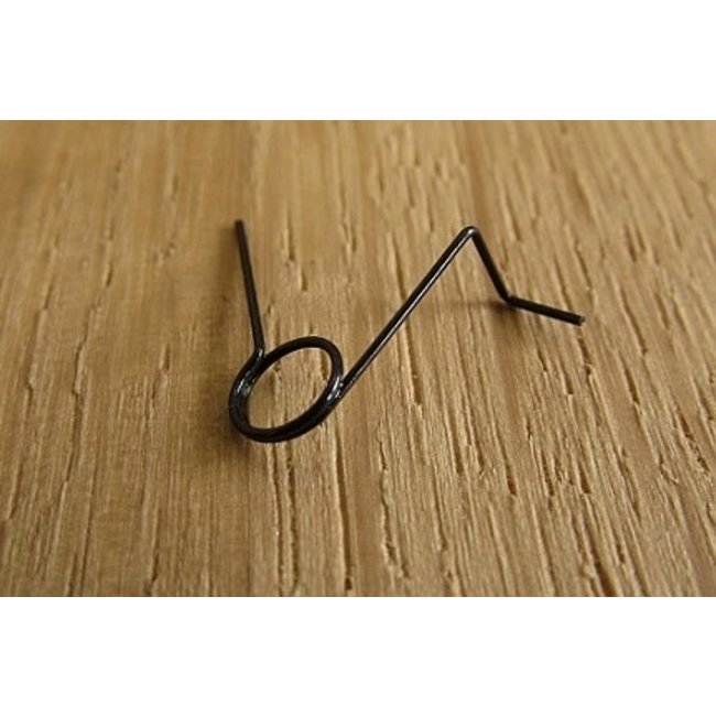 Anti reversal latch spring