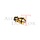 Exhaust Valve G17 - WE
