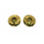SS Grip Screw - Gold