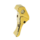 AAP-01 - Athletics Trigger - Electroplated Gold