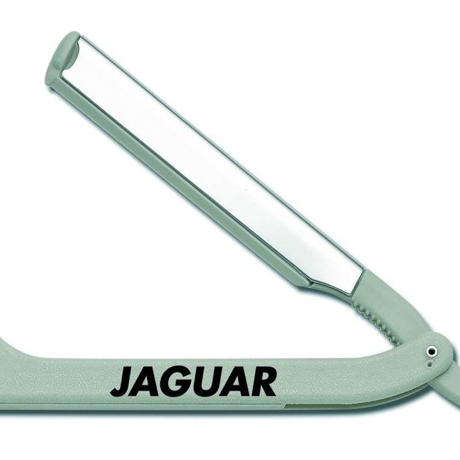 Jaguar JT1 mes