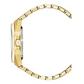 Christophe Duchamp CHRISTOPHE DUCHAMP RAIDILLON SKELETON AUTOMATIC CD8501-09