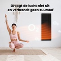 AENO AENO GH4S slimme infrarood verwarmingspaneel - LED-scherm - Red Dot winnaar 2023 voor design en verwarmingstechnologie - Bluetooth - WIFI - 700 Watt - Elektrische kachel - Verwarmingsplaat - Infrarood + convectie - Zwart