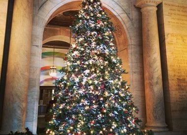 Grote kerstboom huren  (tot 6 meter)