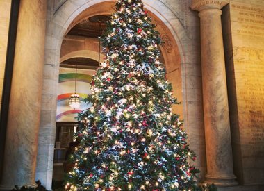 Grote kerstboom huren