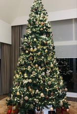 Touch of gold kerstboom huren