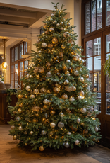 Grote kerstboom huren 350 cm