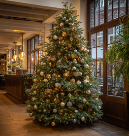 Grote kerstboom huren 350 cm