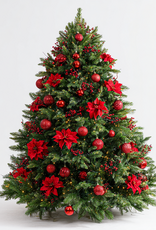 Ruby Noel: De nieuwe stijl van 2026