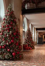 Ruby Noel: De nieuwe stijl van 2026