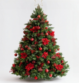 Ruby Noël