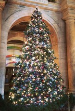 Grote kerstboom huren 6 meter