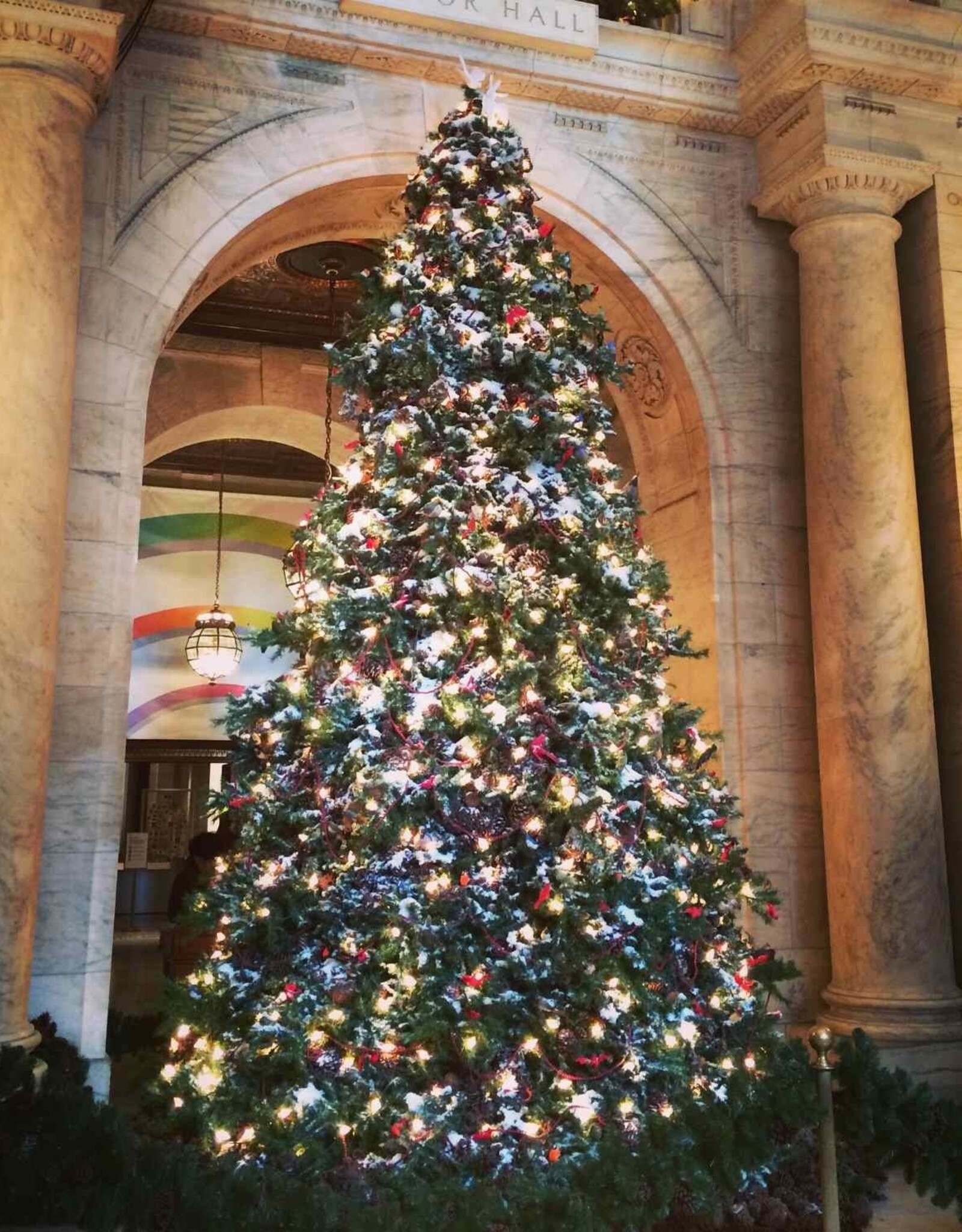 Grote kerstboom huren 6 meter