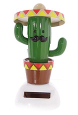 Cactus With Sombaro Solar Pal