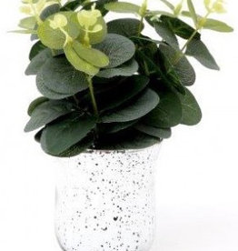 Eucalyptus In Speckled Vase, 24cm