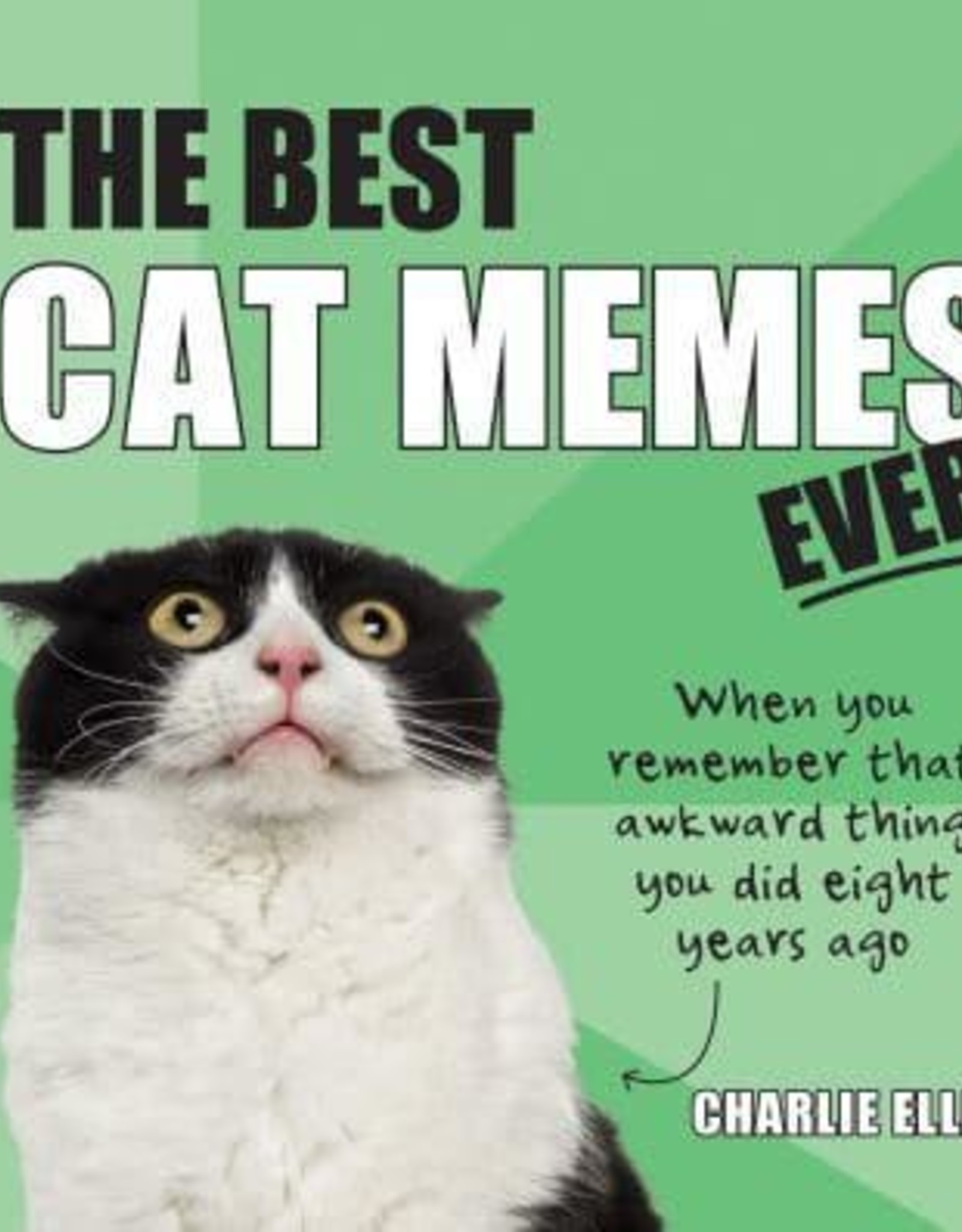 BEST CAT MEMES EVER