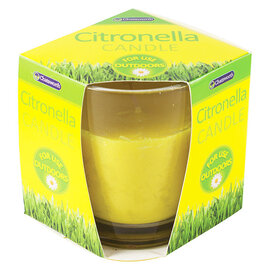 CHATSWORTH CITRONELLA OUTDOOR FRAGRANCED GLASS CANDLE
