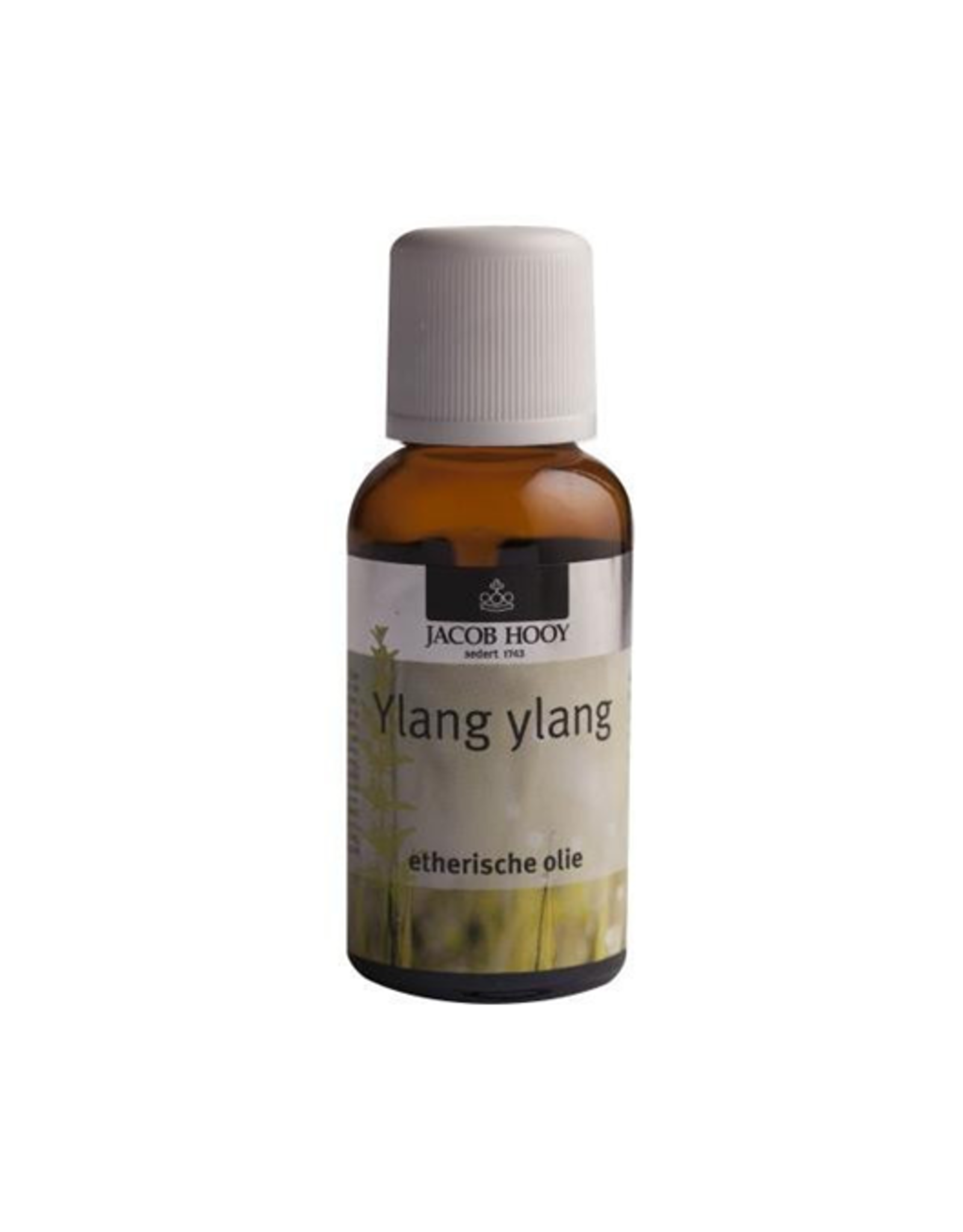 Jacob Hooij Ylang ylang