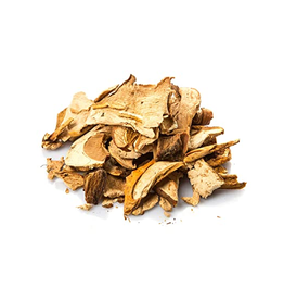 Porcini | Eekhoorntjesbrood