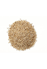 Sesamzaad | Wit | 50g