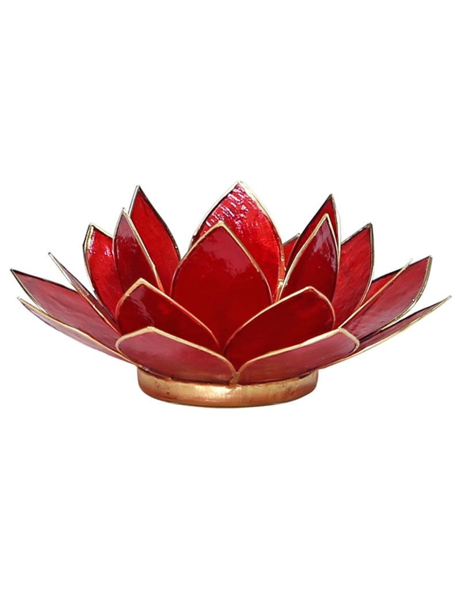 Lotus 1e Chakra | Rood | Goudrand