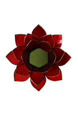 Lotus 1e Chakra | Rood | Goudrand