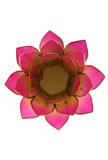 Lotus Groen-Roze met Goudrand