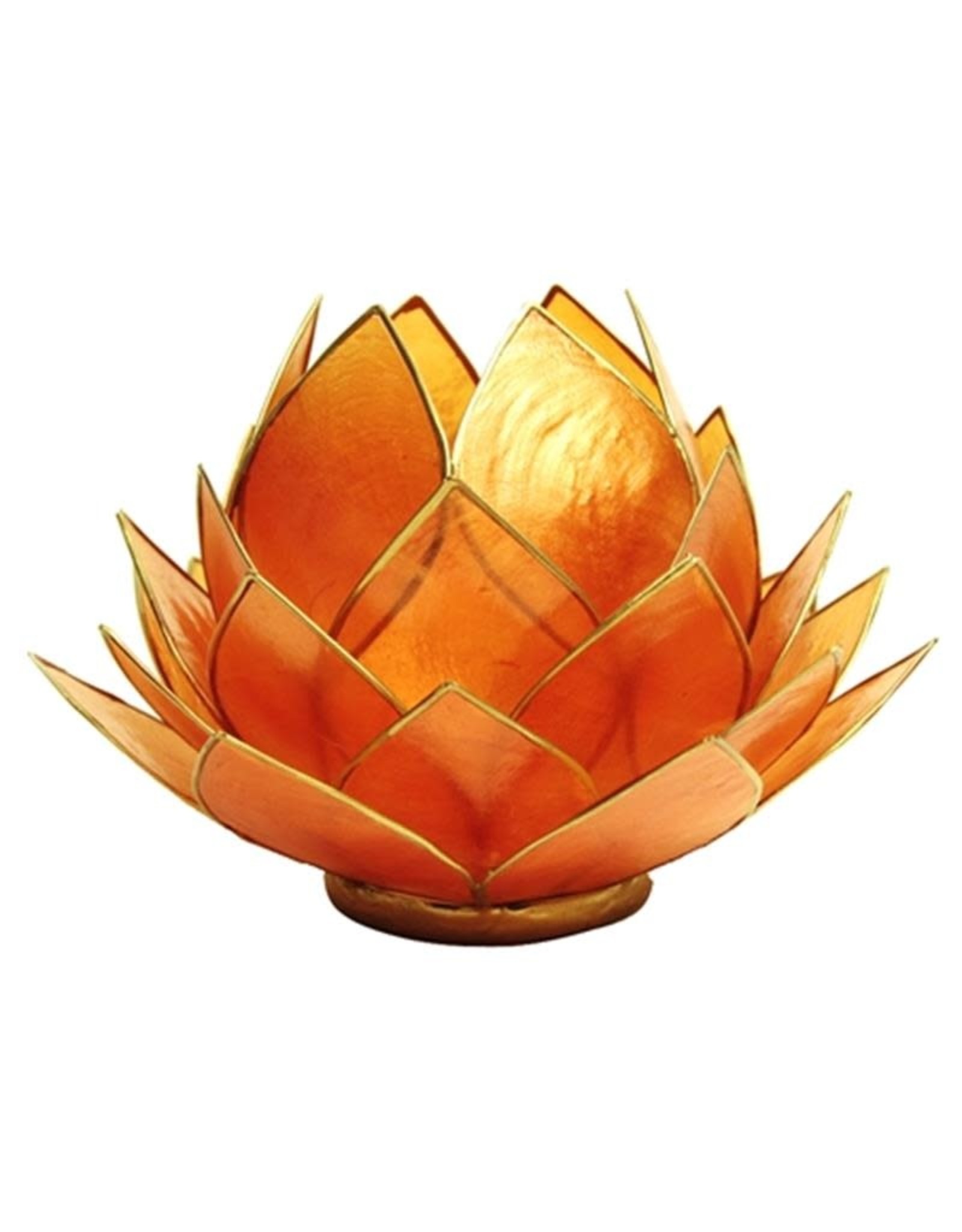 Lotus | Oranje | Goudrand | Large
