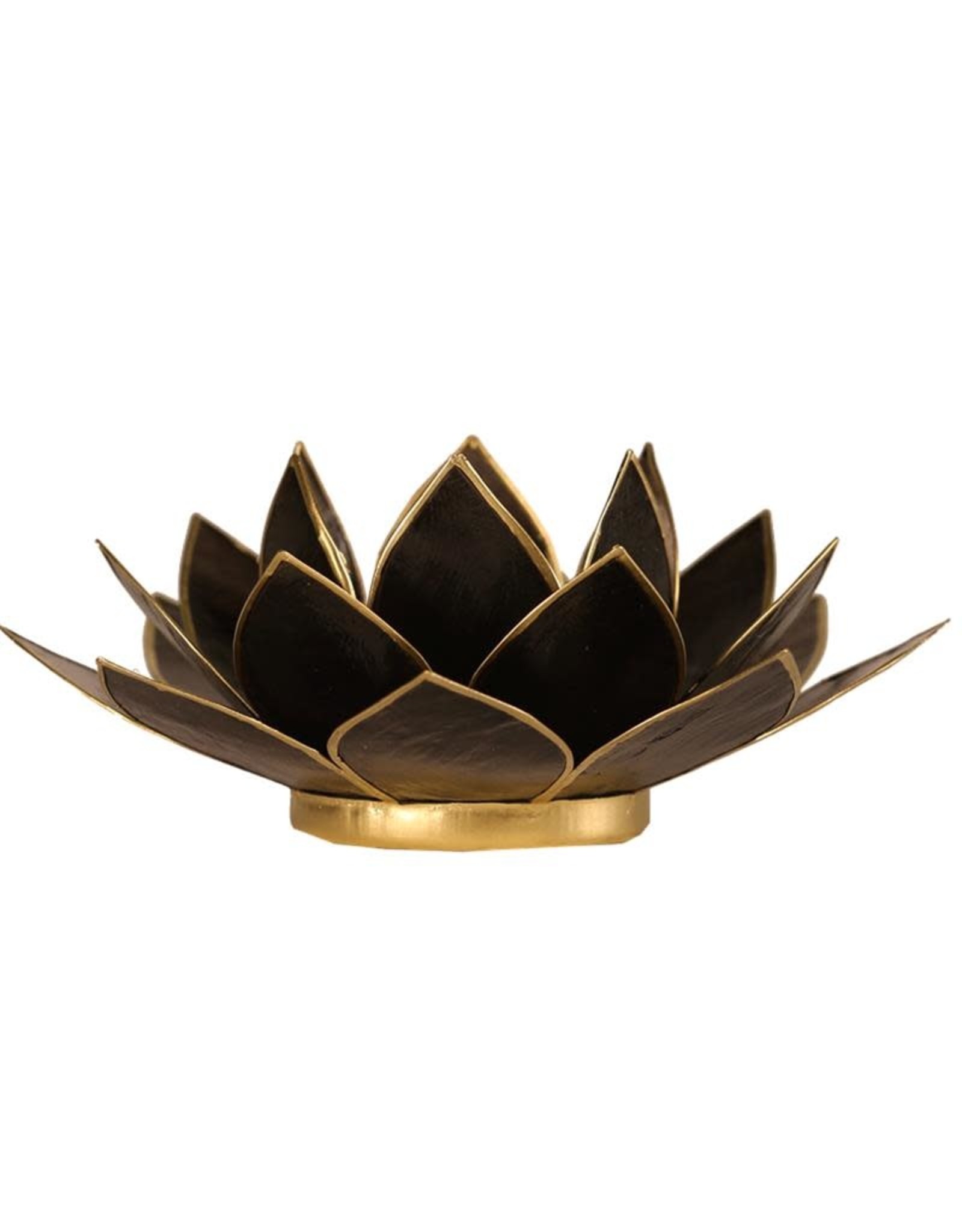 Lotus | Zwart | Goudrand