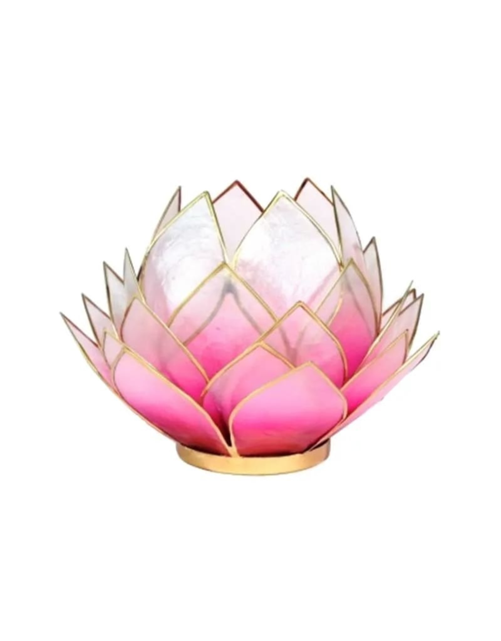 Lotus Roze-Lichtroze met Goudrand Large